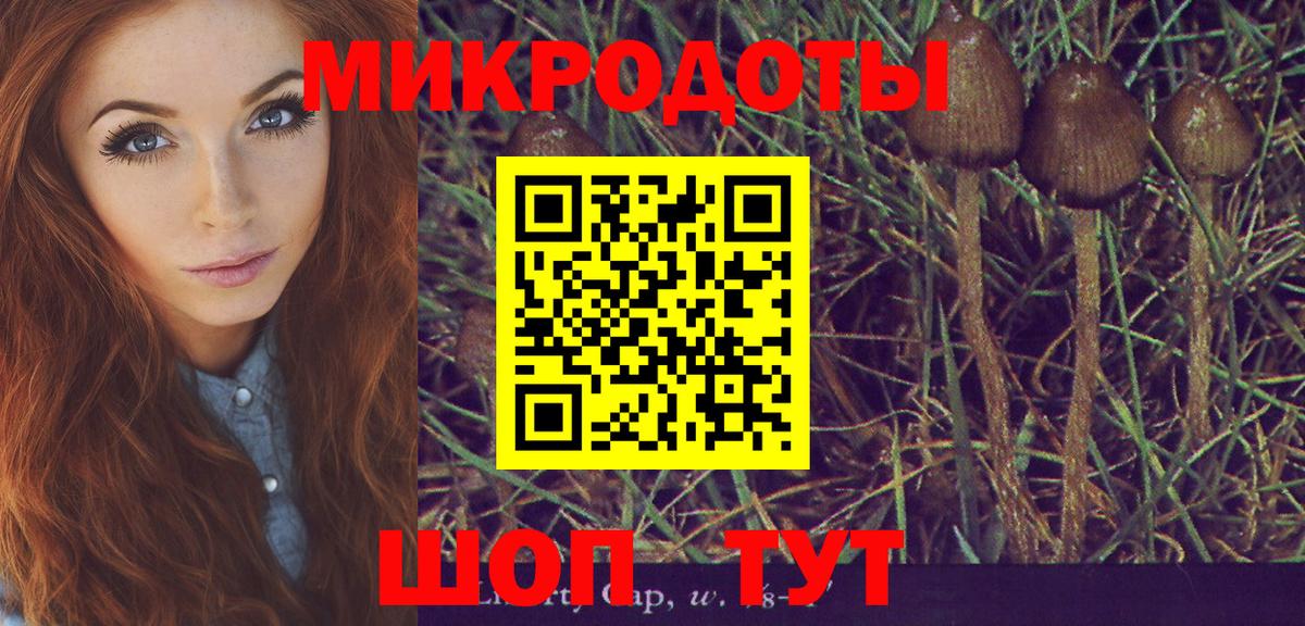 Галлюциногенные грибы прущие грибы Апатиты