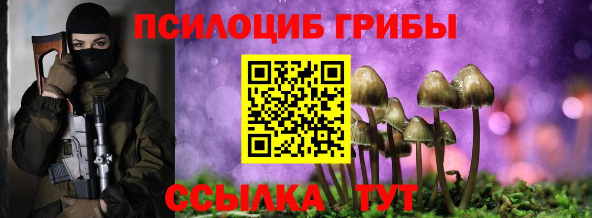Апатиты  Галлюциногенные грибы Psilocybine cubensis  Вход с VPN  Галлюциногенные грибы Cubensis 